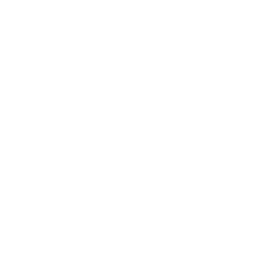 ce logo Wilkesboro